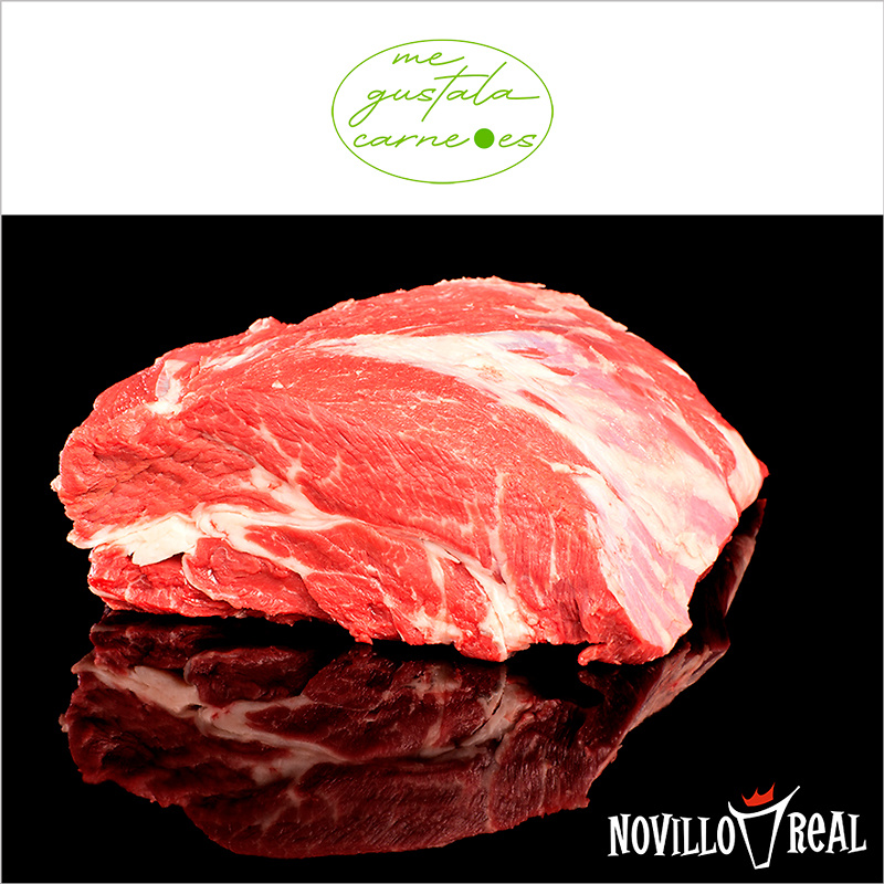 Aguja Angus Certificado 